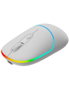 CANYON CNS-CMSW22 Wireless/BT 2